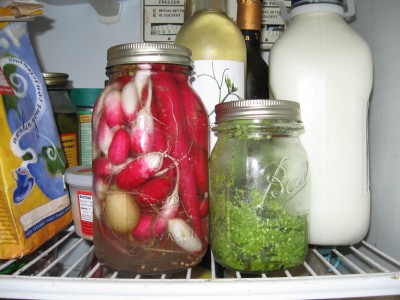 refrigerator love
