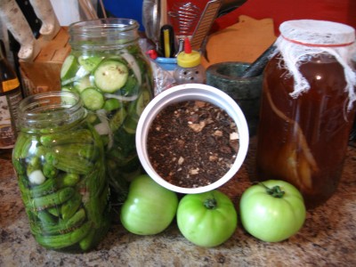 pickles, worm castings, kombucha