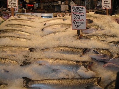 fish