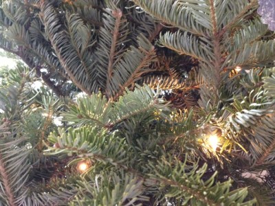 treelights