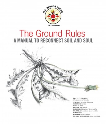 thegroundrules